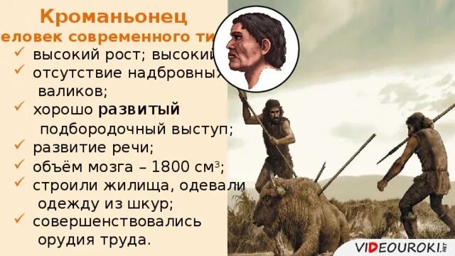 Высоко примитивный