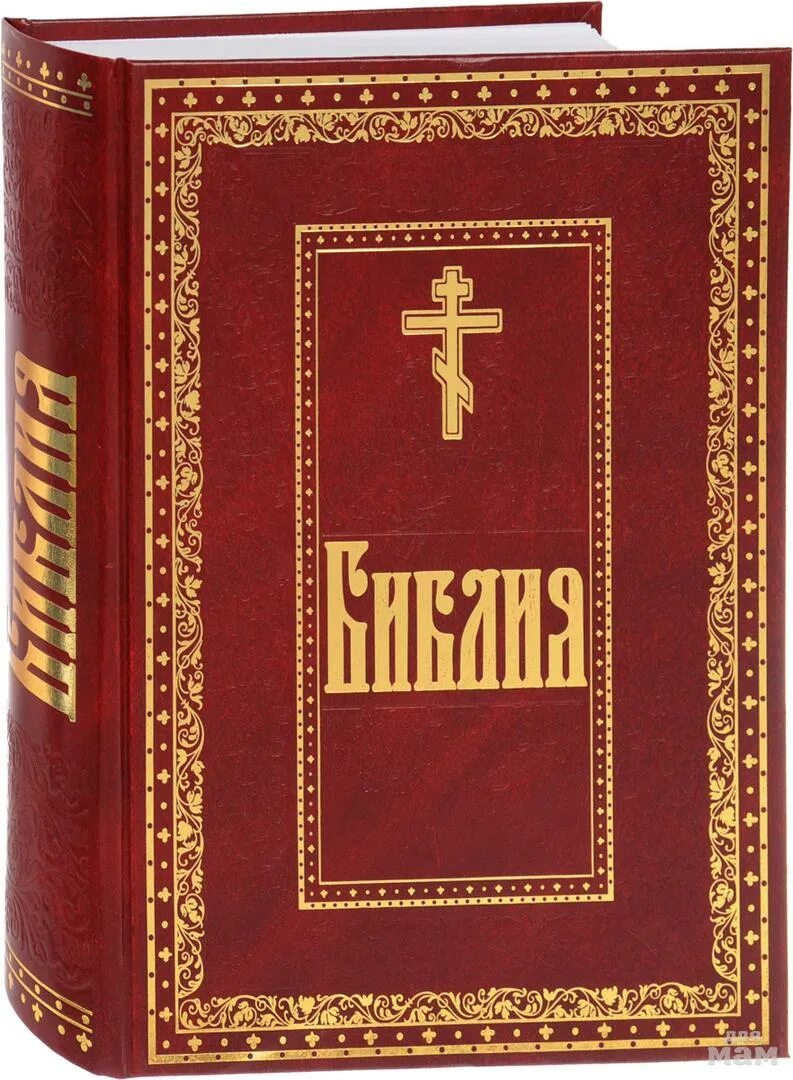 Книга ответ православных. Библия книги Священного Писания ветхого и нового Завета. Библия. Книги Священного Писания ветхого и нового Завета Гюстава Доре. Библия. Ветхий Завет. Православное чтение. Священие книги в христианстве.