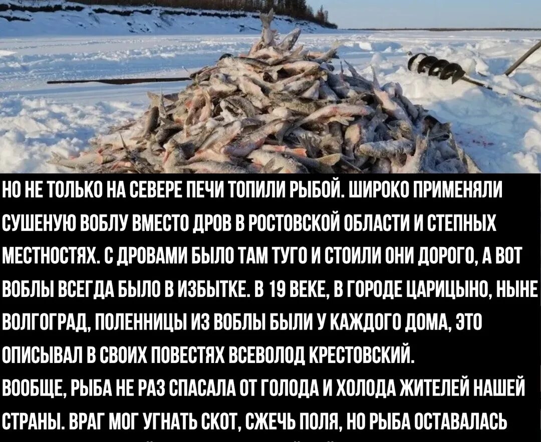 Топят щуками. Рыбалка в якутии зимой. Топят щуками. Рыбалка подледка. Рыба севера.