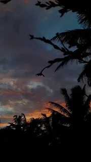 Evening like this