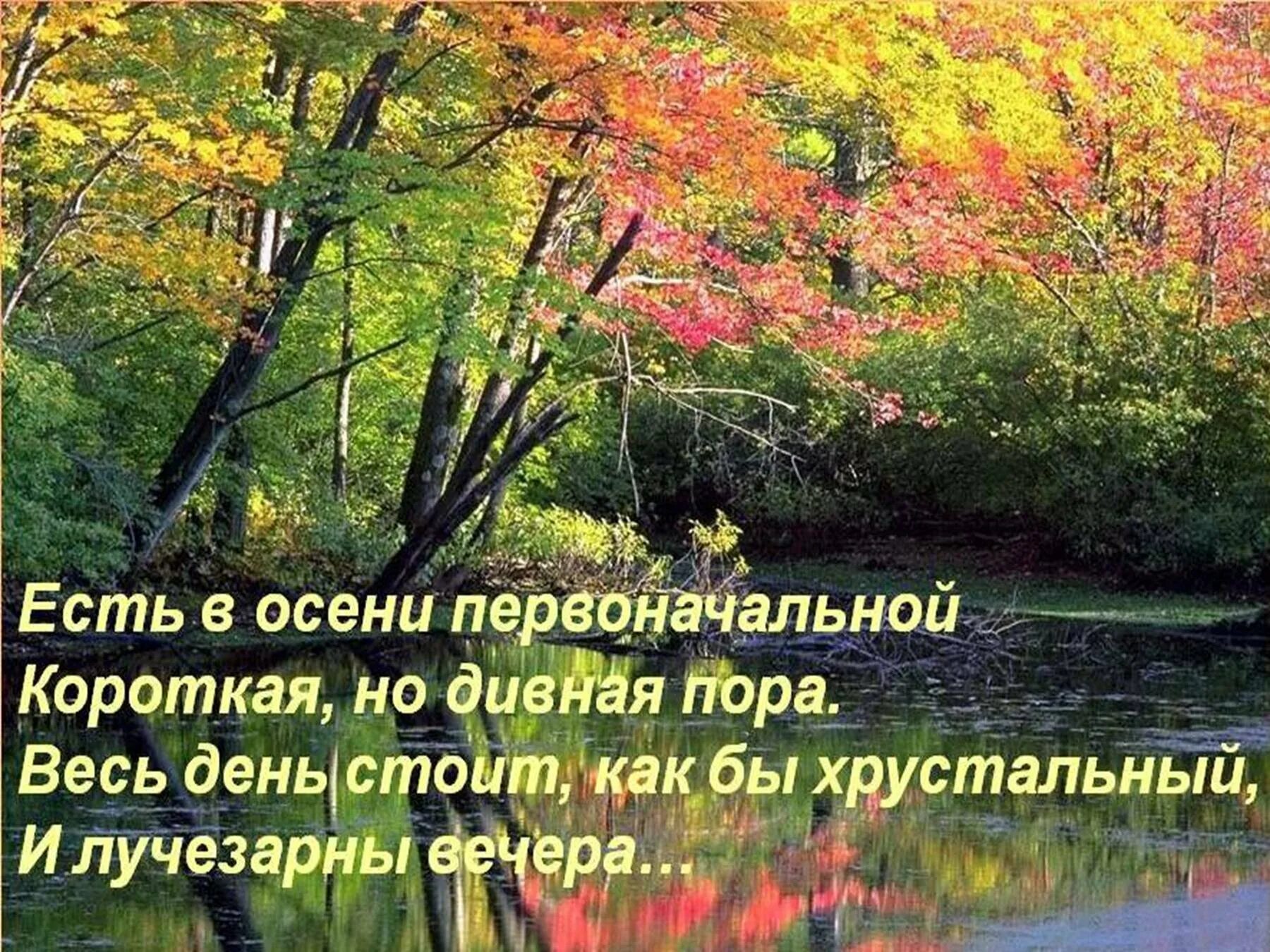 Осенняя природа словами