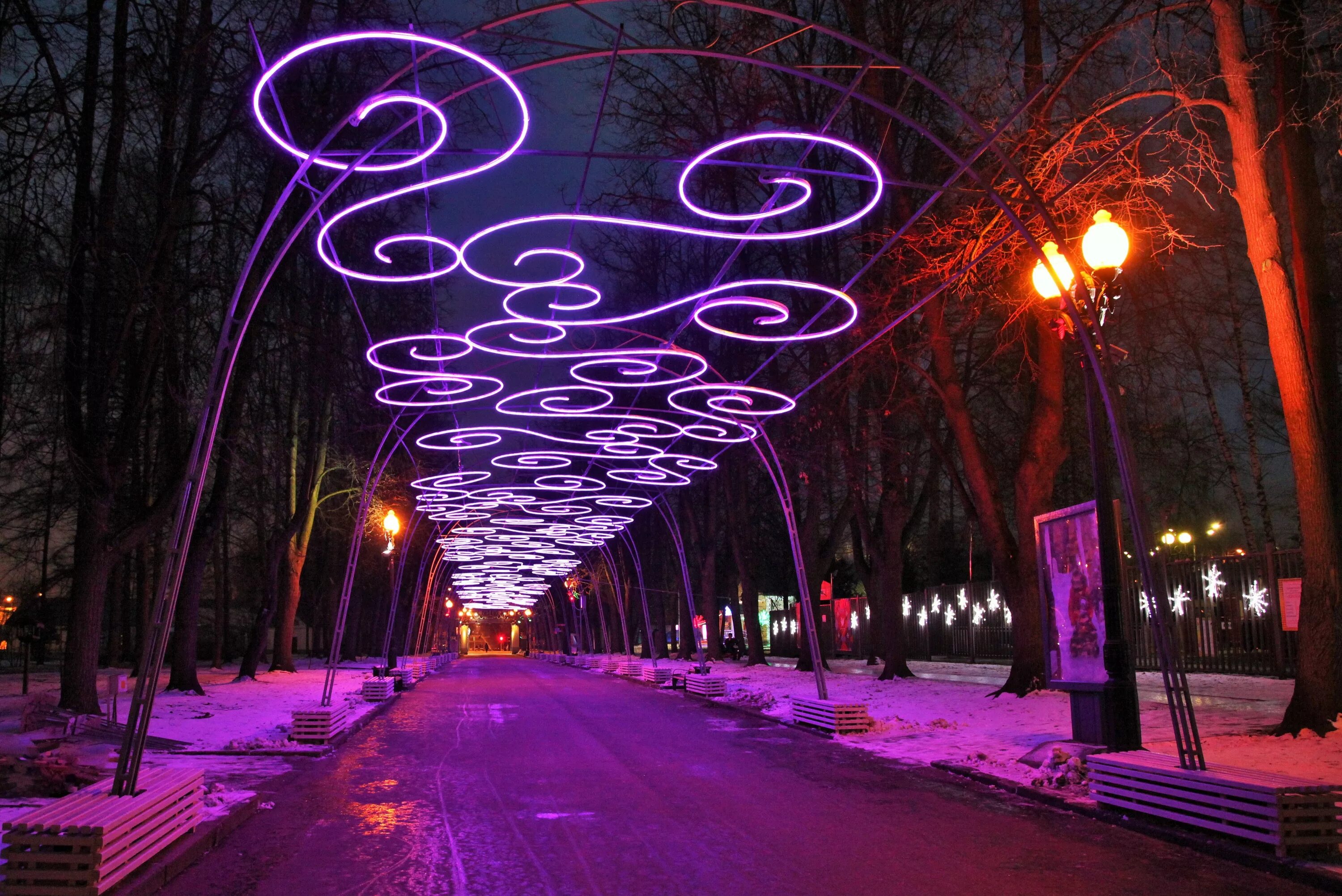 Погода украсили. Измайловский парк Москва зима. Измайловский парк зимой. Измайловский парк Новогодняя иллюминация. Аллея Измайловский парк Москва.