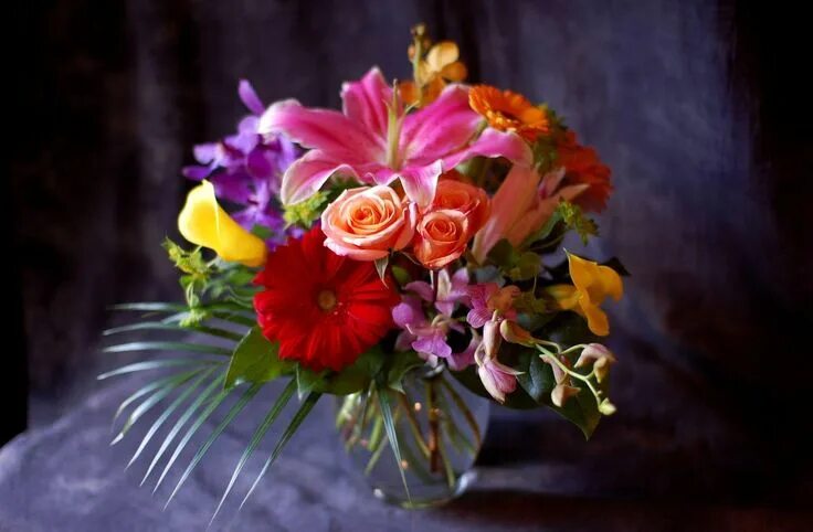 Wallpaper light, glare, roses, blur, garden, gentle, pink, buds for mobile and d