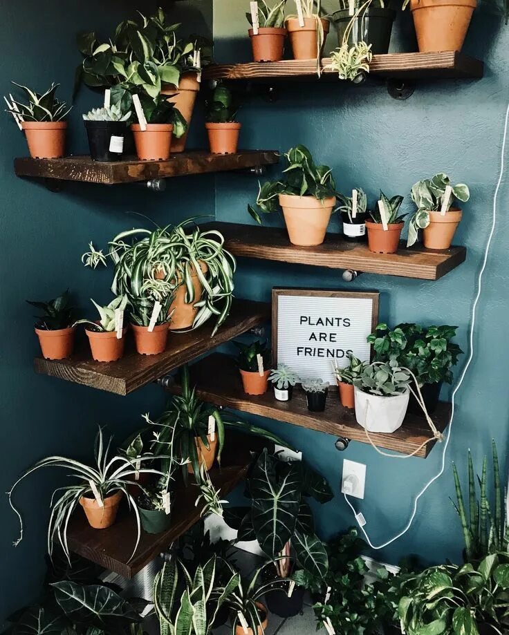 Plants and friends. Пост растения. Плантс энд френдс. Plants and friends отель снаружи. Plants aesthetic Russia.