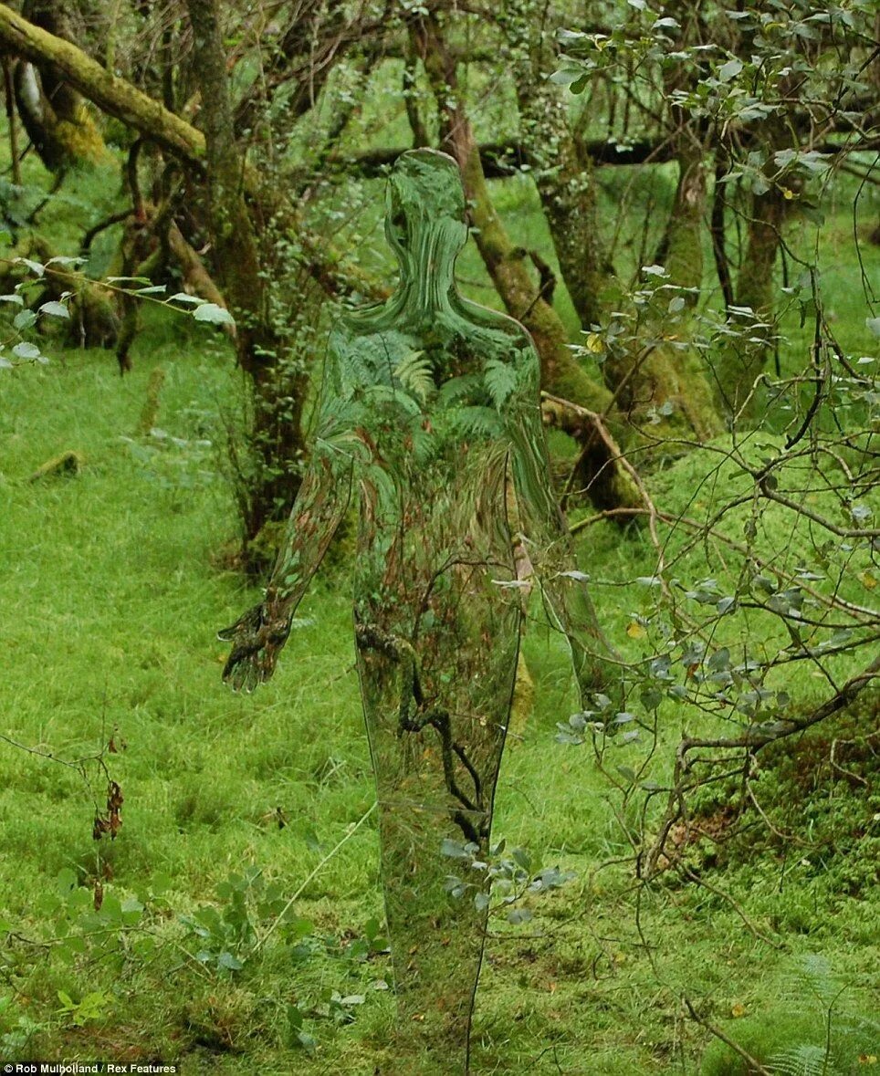 Маскировка хищника. Хищник 1987 невидимый. Маскировка хищника. Хищник маскировка. Маскировка хищника.