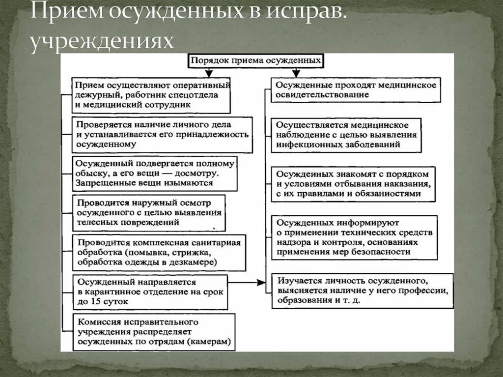 Порядок приема осужденных в исправ учреждениях. Порядок приема осужденных в исправительное учреждение. Порядок приема осужденных в Иу. Схема порядок приема осужденных в исправительные учреждения.