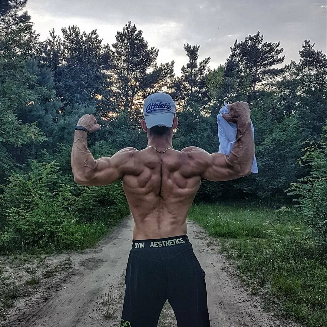 Программа лось. Дикий лось воркаутер.