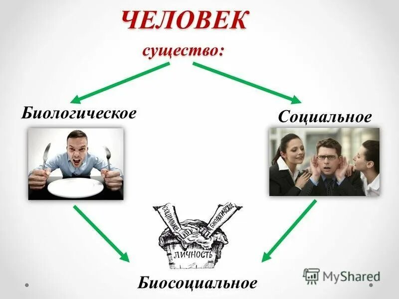 Человек является социальным человеком