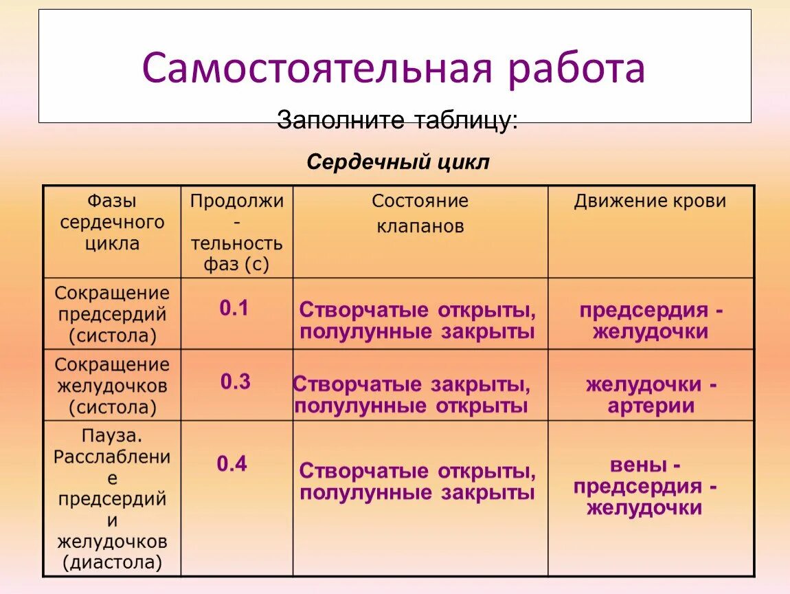 Фазы сердечного цикла. Таблица сердечный цикл 8 класс биология. сердечный цикл таблица по биологии 8 класс. биология фазы сердечного цикла таблица. таблица работа сердца сердечный цикл 8 класс.