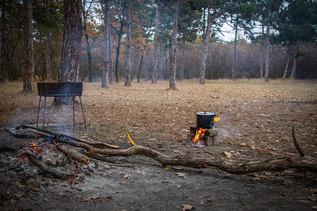 Можно ли мангал в лесу. Шашлыки на природе. Мангал в лесу. Место для костра в лесу. Пикник шашлык на природе.