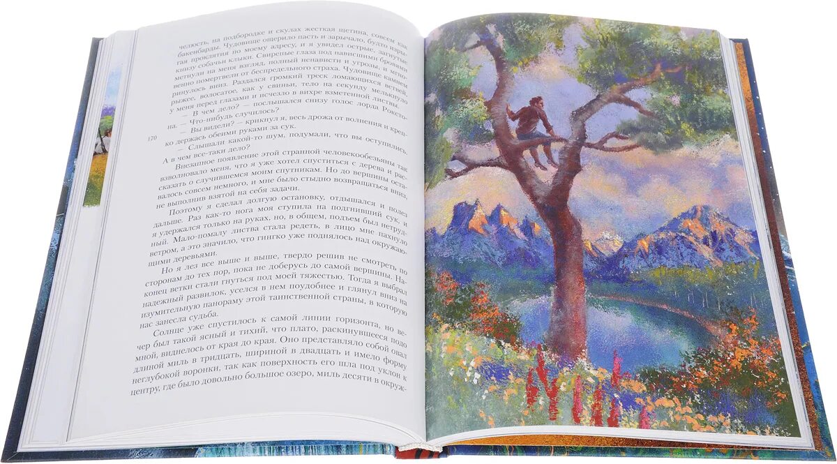 Book nook вставка. Contemporary literature. Вудс затерянный книжный. Вудс затерянный книжный. Храм книги.