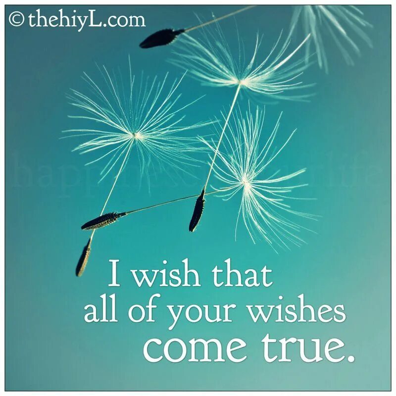 The Wish. Wishes come true. Your Wishes come true. I Wish you all the best картинки. Let me wish you