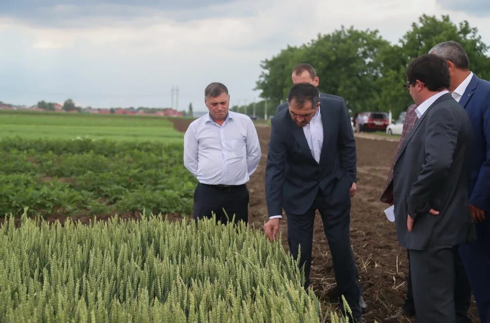 как создать крестьянское хозяйство. презентация фермерского хозяйства. соглашение о создании фермерского хозяйства кфх. как создать крестьянское хозяйство. характеристика фермерского хозяйства.