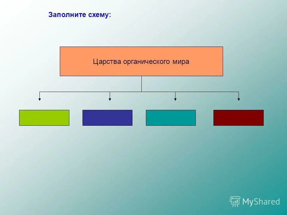 заполните схему царство животные. царство животных классификация схема. заполните схему царство животные. заполните схему царство животные. систематика царство животные схема.