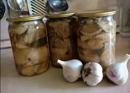 Посолить черные грузди на зиму горячим способом