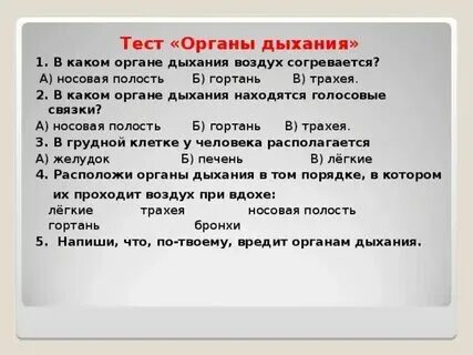 Ответы на тест дыхательная система
