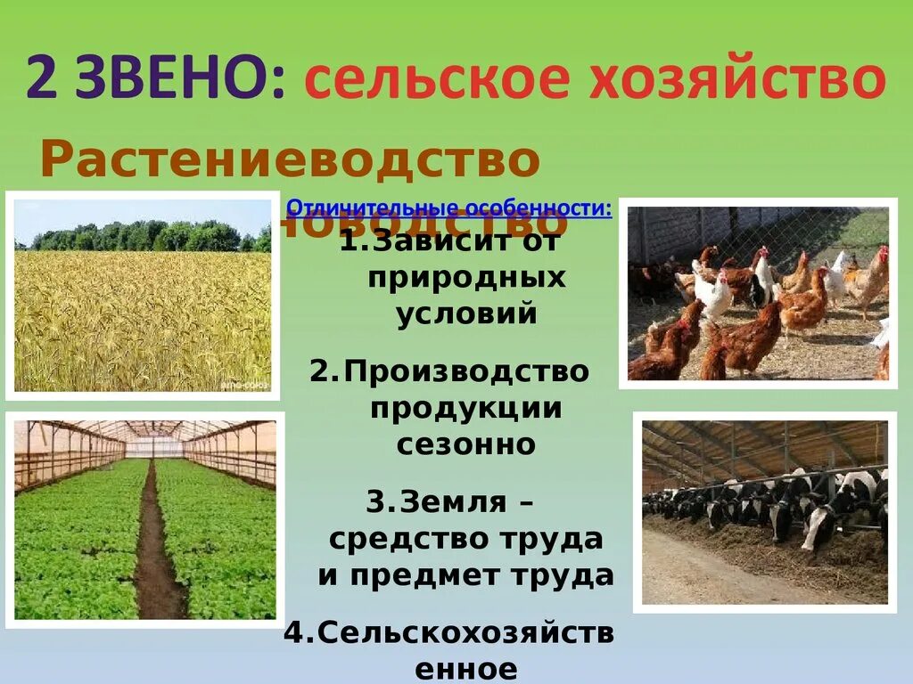 Природно хозяйственные отрасли. Агропромышленный комплекс России АПК 9 класс. Отрасли растениеводства и животноводства. Презентация сельское хозяйство Растениеводство. Сельское хозяйство для презентации.