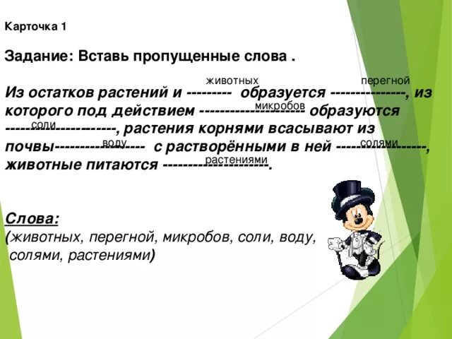 Вставь пропущенные слова в текст. Все обитатели почвы имеют. Вставь пропущенные слова цветы семена сохраняют растения и почву. Растительными остатками образован