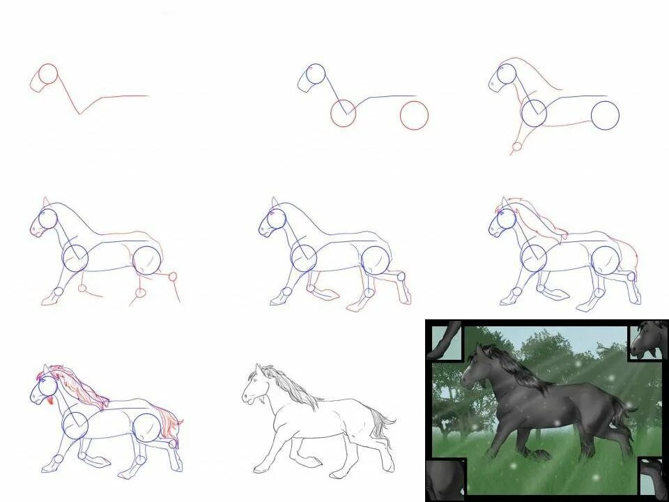 Схема рисования лошади. Лошади начинающие. Как рисовать лошадь поэтапно карандашом для начинающих. Схема рисования лошади. Референс лошадь галоп спереди.