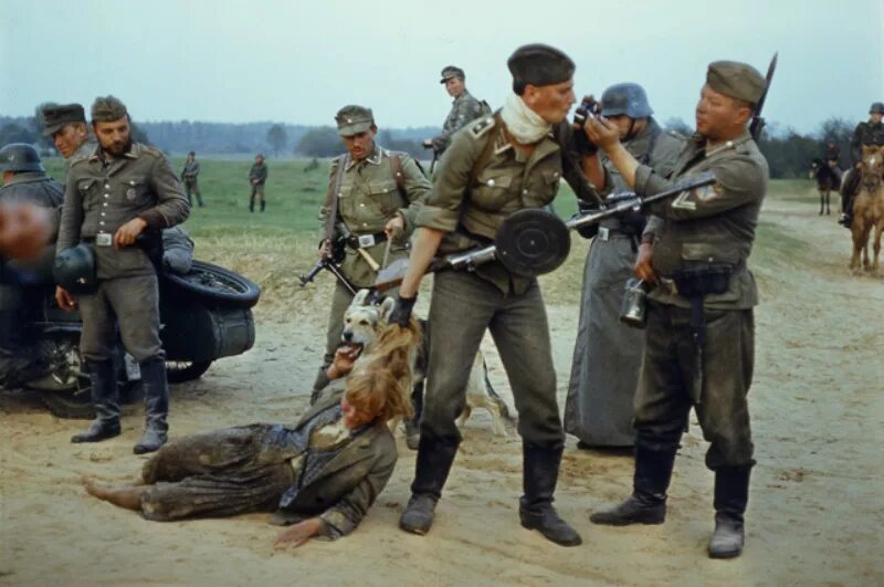 Шел 4 го
