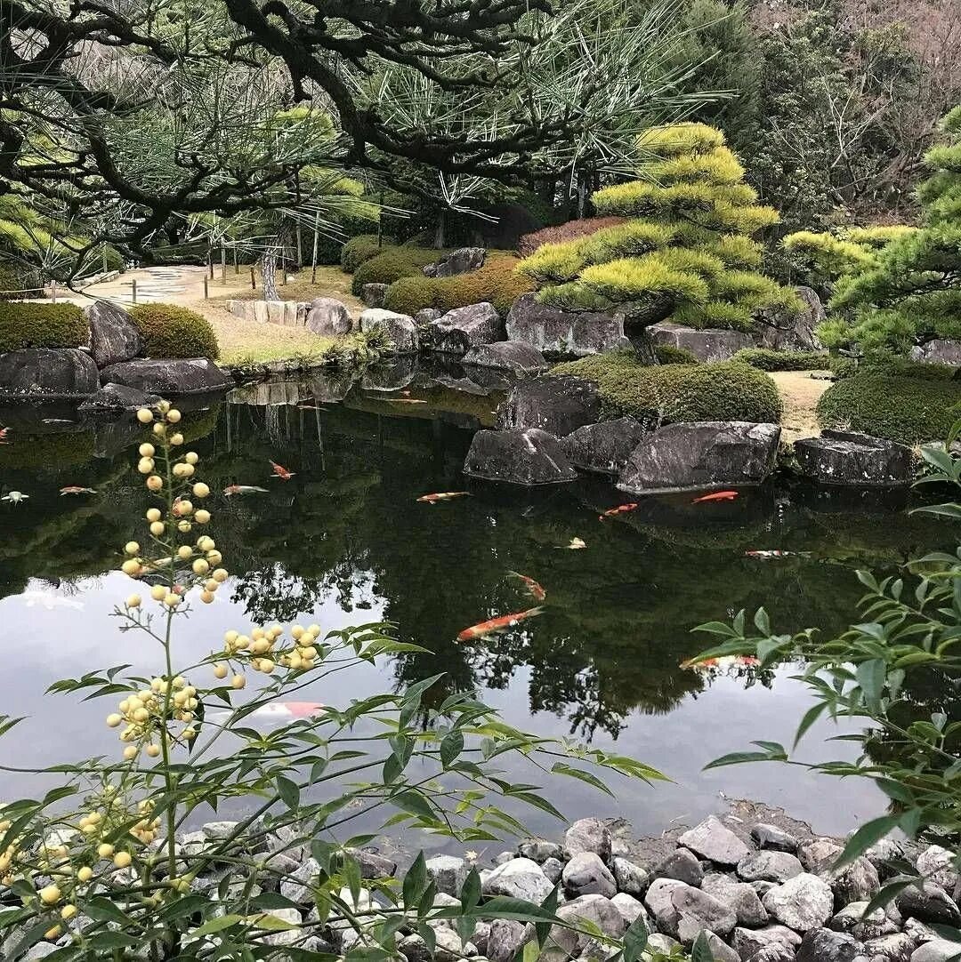 Японский пруд. Киотский Ботанический сад (Kyoto Botanical Garden). Японский Ботанический сад, Киото, Япония архитектура. Киото ниваки. Коичи Курису сады.