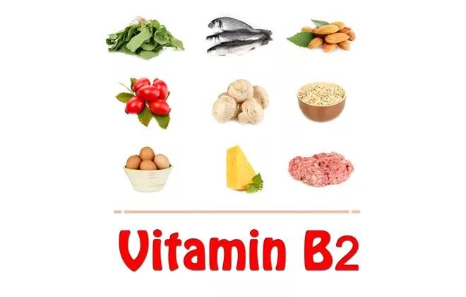 Much vitamins. Витамин b2 (рибофлавин). Продукты богатые рибофлавином. Витамины китайского производства. Китайские витамины Gold Vitamin b6 a e.