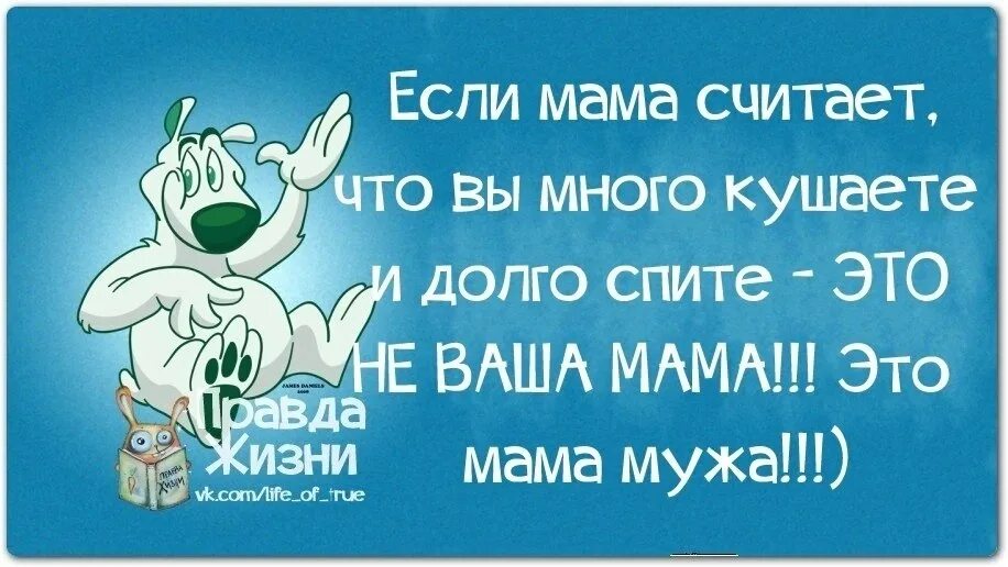 Песня надо много кушать надо много спать. Свекровь юмор. Анекдоты про свекровь. Цитаты про свекровь со смыслом. Фраза про свекровь и невестку.