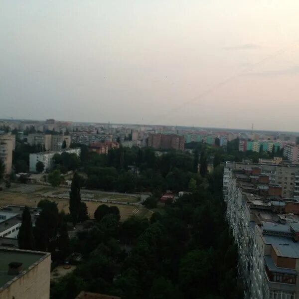 Цветущие поля Таганрога Вдали от цивилизации Фотогалерея природы на greenmatrix3