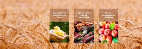 Переработка продукции растениеводства и животноводства