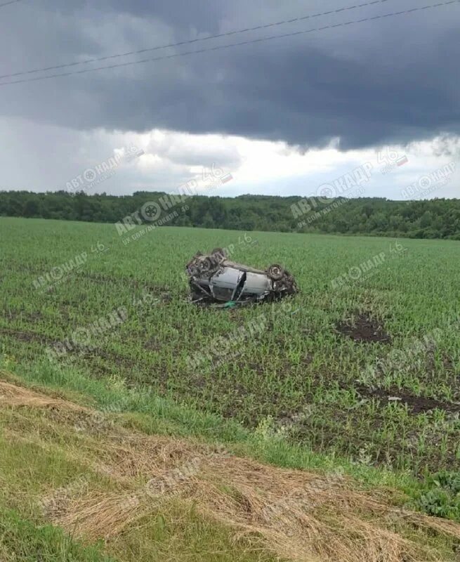 Обстановка в беловском районе курской. Курская область село озерки. Обстановка в беловском районе курской. Обстановка в беловском районе курской. Обстановка в беловском районе курской.