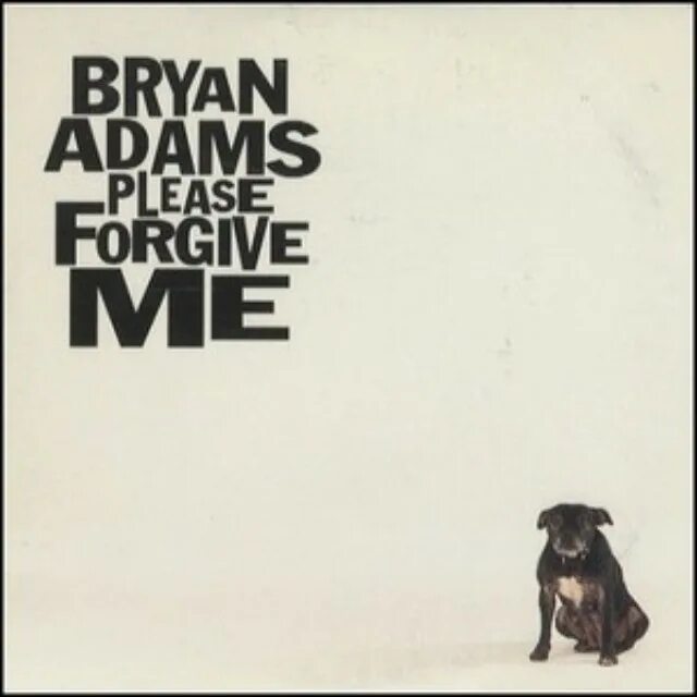 Плиз фогив ми. Bryan Adams please forgive. Bryan Adams please forgive me обложка. Please forgive me Bryan Adams текст.