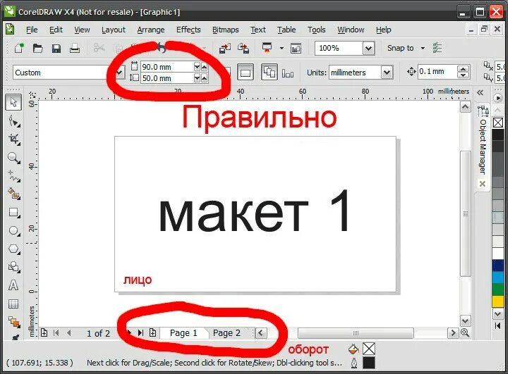 Формат кривых. Макет coreldraw. печать coreldraw. макет в векторном формате. печать в кореле.