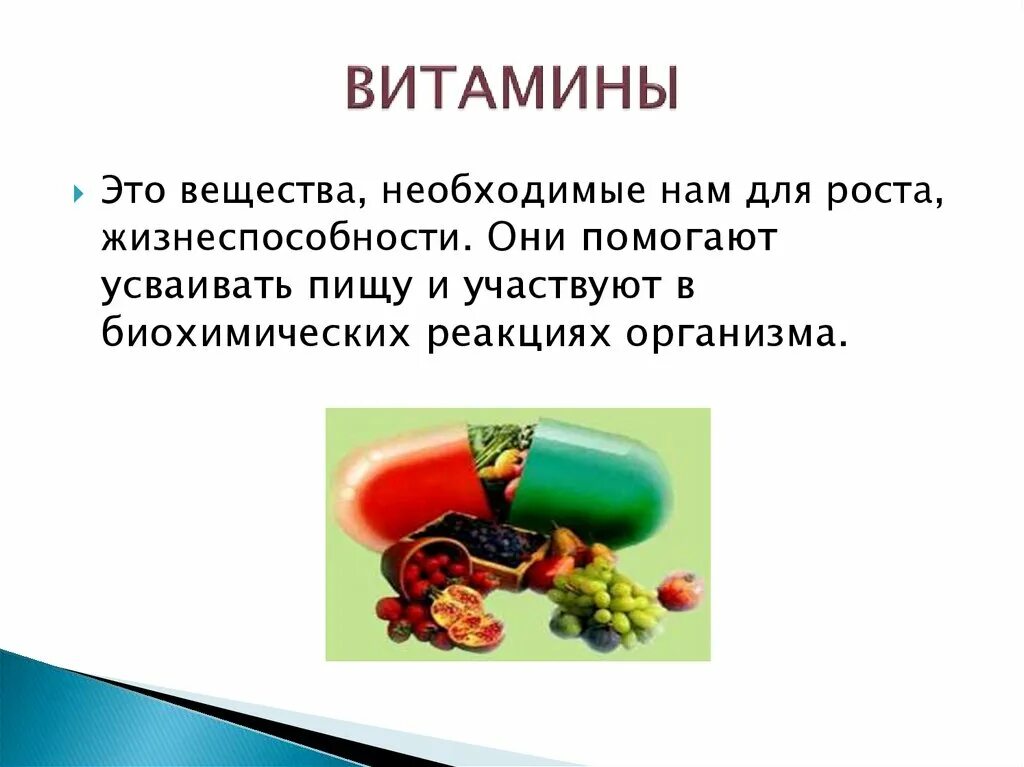 Проект 5 класс питание и здоровье Проект по технологии 5 класс питание и здоровье человека