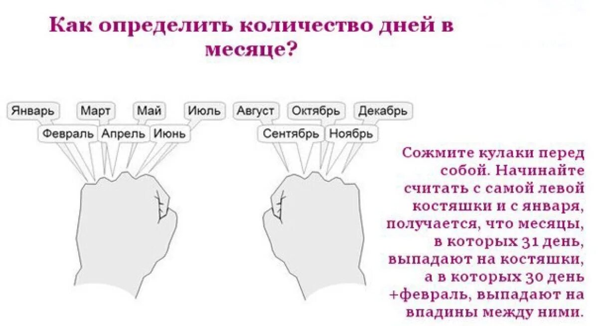 4 г в месяцах. Сколько дней в месяце по костяшкам. Сколько дней в месяцах. Как по косточкам определить количество дней в месяце. Как по костяшкам определить сколько дней в месяце.