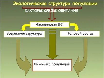 Популяция окружающей среды