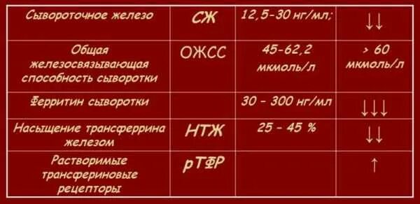 Ожсс норма у женщин по возрасту таблица Фотографии СЫВОРОТОЧНОЕ ЖЕЛЕЗО ОЖСС