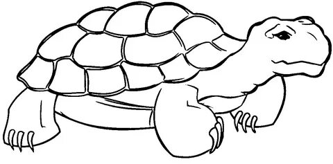 Quiet Tortoise Turtle Coloring Page - Wecoloringpage.com Turtle coloring pages, 
