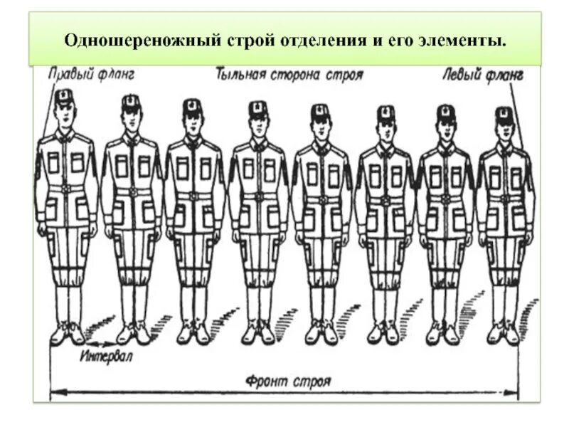 Расширенный строй. Одношереножный Строй шеренга и его элементы. Построение в двухшереножный Строй. Элементы двухшереножного строя. Развернутый двухшереножный Строй.