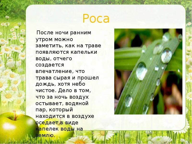 Текст раннее летнее утро. Стихотворение про росу. Утром на траве появилась роса. Как образуется роса на траве. Стихи о росе на траве.