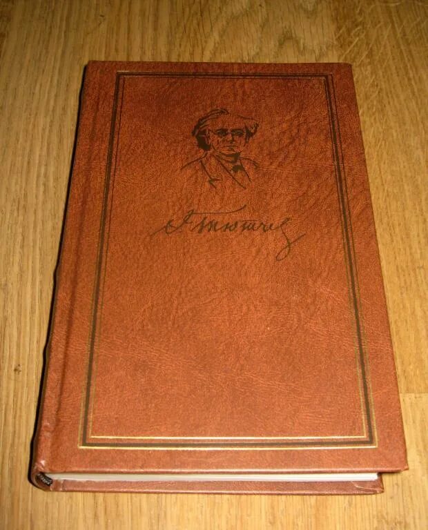 Тютчев купить. Тютчев собрание сочинений в 6 томах. Тютчев полное собрание сочинений. Тютчев ПСС В 6 томах РИЦ классика. Тютчев ф и полное собрание сочинений письма в 6 томах том 1 классика 2002.