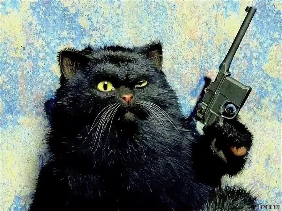 автомат Funny cats, Cute cats and kittens, Cats