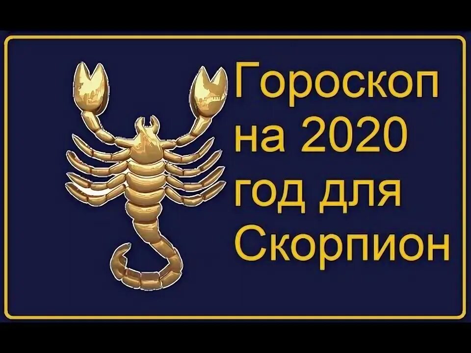 Крыса скорпион крыса скорпион совместимость. Крыса скорпион крыса скорпион совместимость
