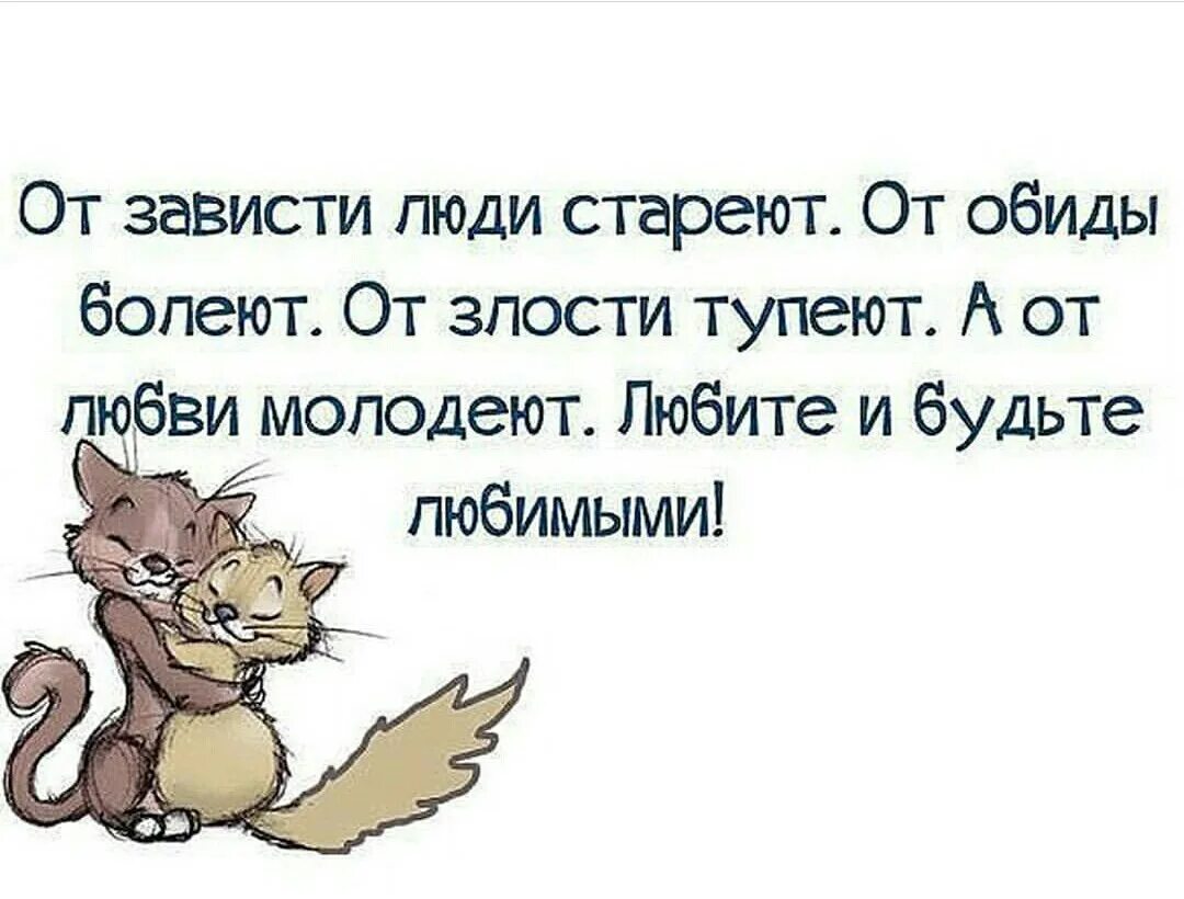 Песня люди завидуют. Прикольные цитаты про любовь. Афоризмы про любовь прикольные. Смешные высказывания про любовь. Прикольные высказывания о любви.