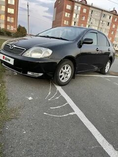 Дром калачинск