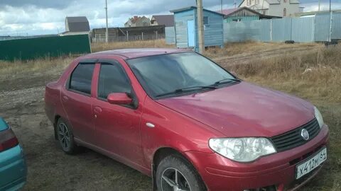 Авито фиат альбеа
