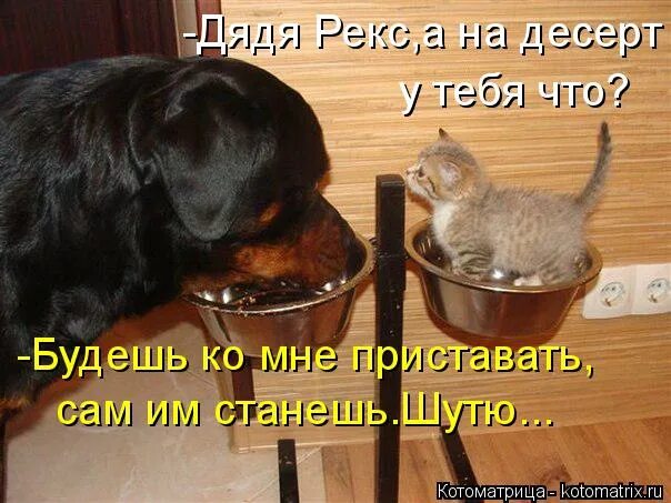 Всё достало. Сама пристала. Мем сам приставать начнешь. Сама пристала. Та самая девушка мем.
