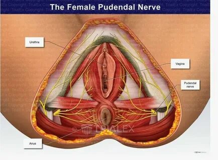 Lezbiyen porno yosh farqi