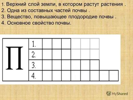 Слой земли 4 букв