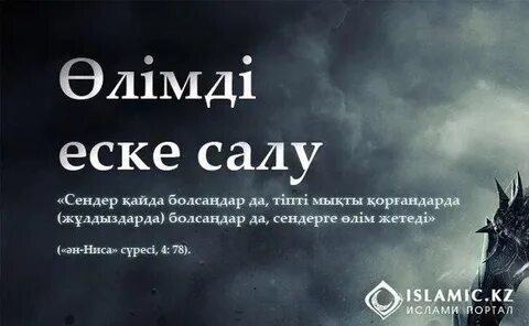 Жаткан жери жайлы топырагы торка болсын