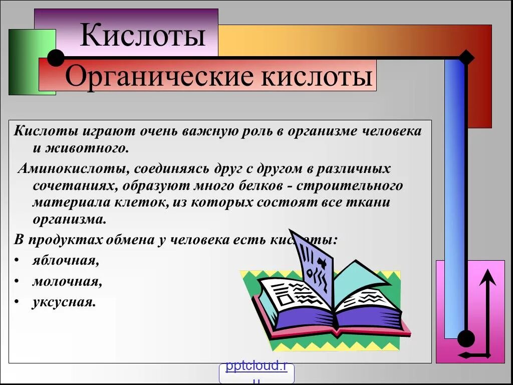 Органические кислоты определение. Органические кислоты в пищевых продуктах. Органические кислоты в организме человека. Органические кислоты в растениях. Органические кислоты роль.